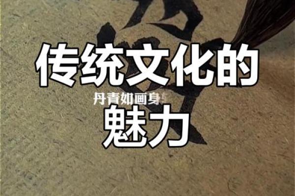 探寻云南传统文化中的民族智慧