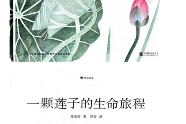 莲曦文化：传承与创新中的传统智慧
