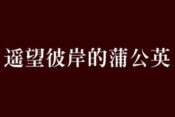 莲曦文化：传承与创新中的传统智慧
