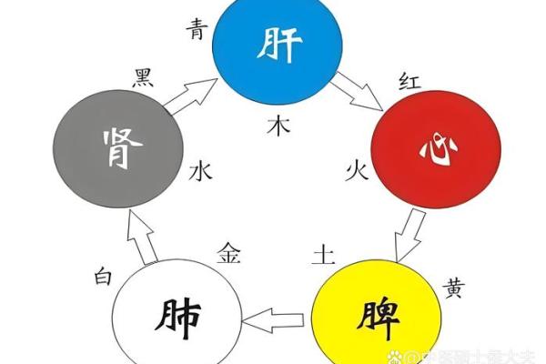 从五行角度看火弱的调节策略