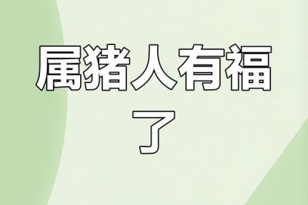 属猪人如何把握的好运机遇