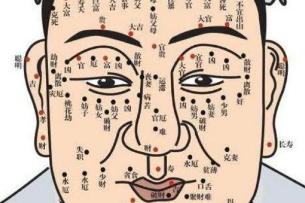 眉毛在风水学中的重要性及其影响解析