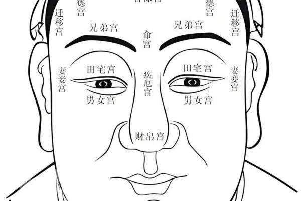面相解码：揭秘长辈们钟爱的福相之美