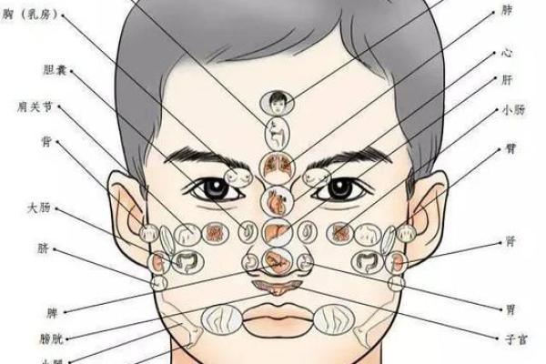 一眼看穿，面相识人绝技揭秘！