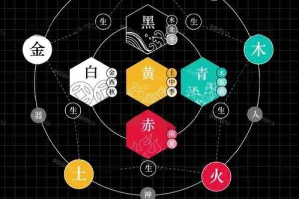 五行理论中的能量分类