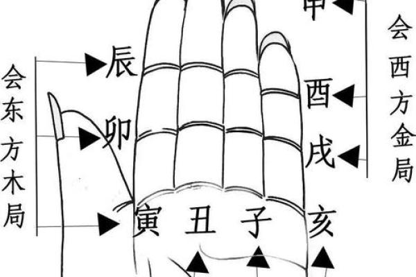 探索十二地支掌诀图的深层含义