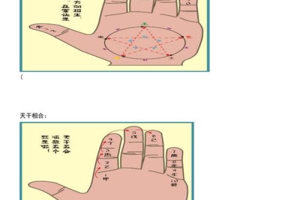 探索十二地支掌诀图的深层含义