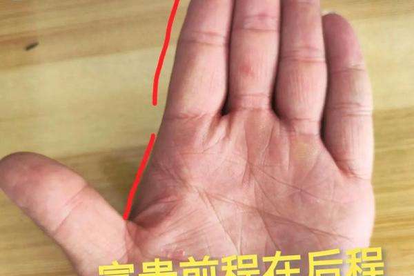 解锁手相王字密码，财运滚滚来！
