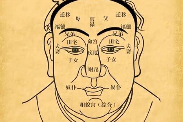 面相识创业：洞察命运，解码成功
