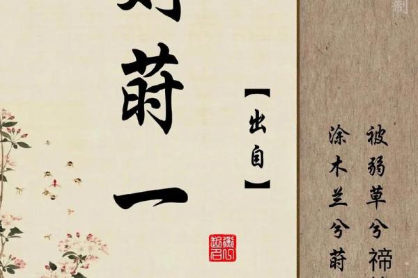 龙女翩翩，寓意美好的名字推荐