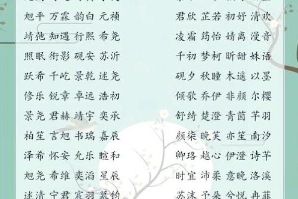 齐宝宝：寓意美好，灵动可爱的名字组合