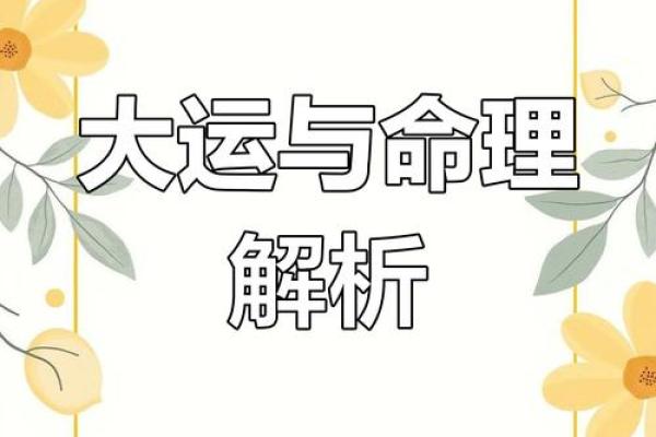 探秘八字命运：精准分析，你的未来运势大公开