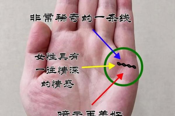 揭秘手相奥秘：初学者必备指南