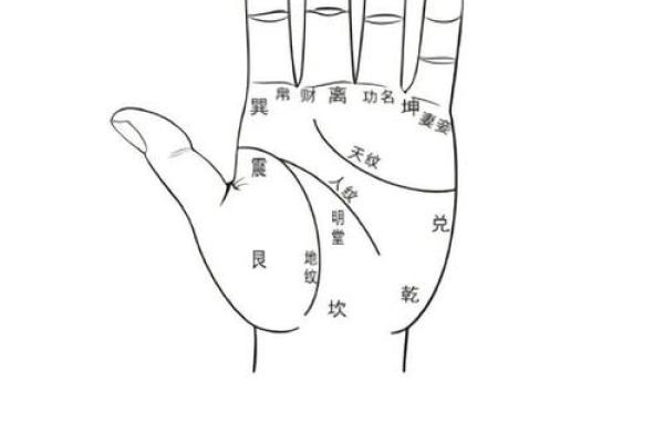 揭秘手相奥秘：初学者必备指南