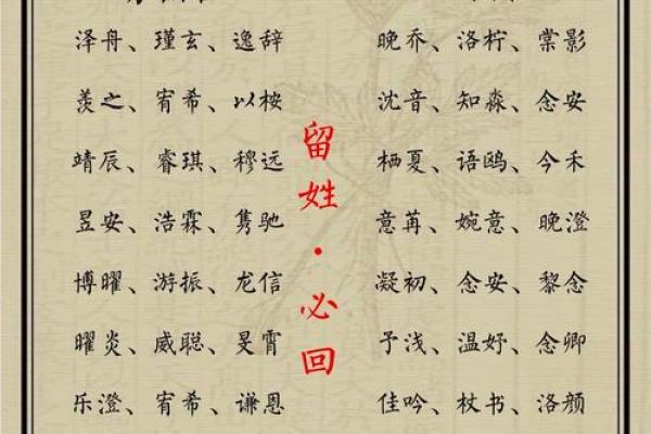 狗年宝宝名字精选集