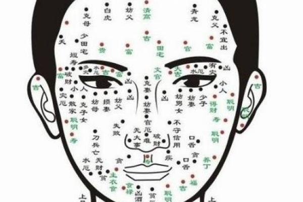 臀部痣相大解析：看痣相，知财运！