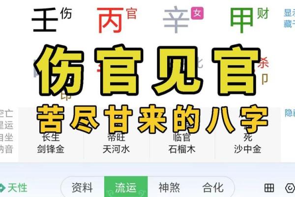 伤官在生辰八字中的影响与解读