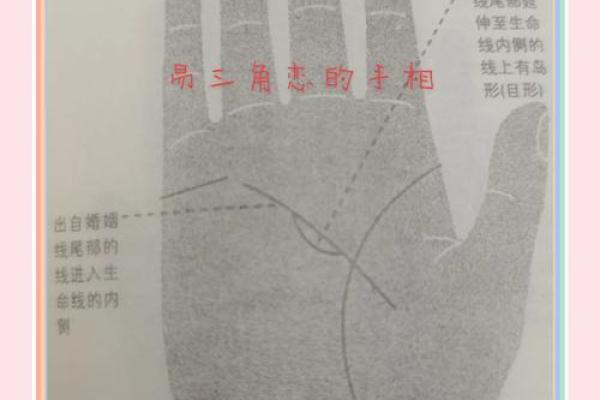 裴翁手相秘术，揭秘命运之谜