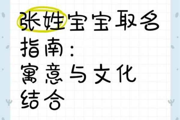 张家宝贝：揭秘姓名运势中的神秘力量
