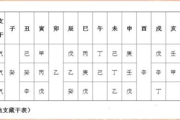 如何解读生辰八字中的藏干