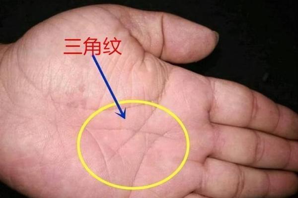 手相揭秘：财锦宫的富贵密码