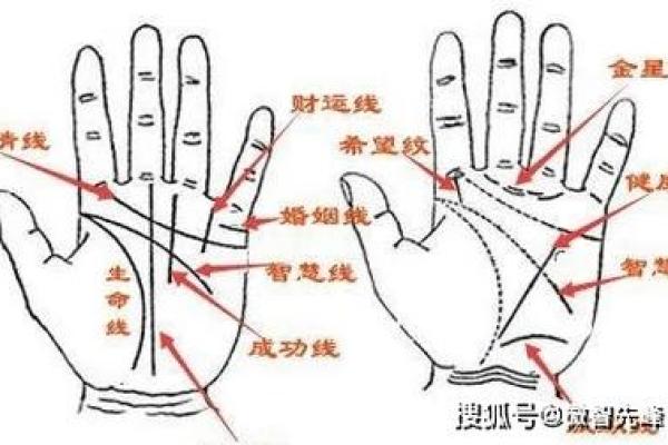 手相揭秘：财锦宫的富贵密码