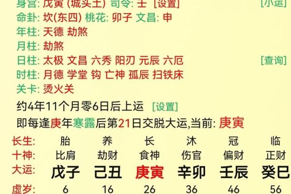 地支玄机解析：如何运用命理学预测未来