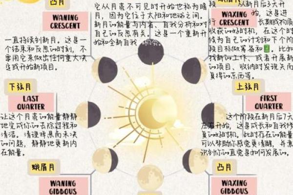 十二地支月连的奥秘解析
