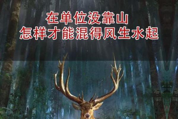 风生水起，周易风水秘法助你打造旺宅旺运