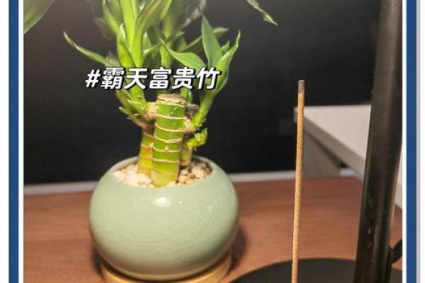 办公室风水秘籍：坐位布局，财运亨通！