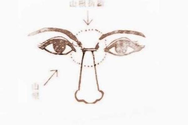 面相解码：鼻头下垂背后的命运启示