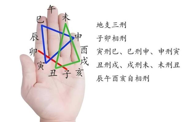 快速查地支的实用方法