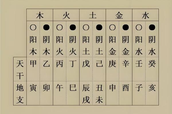 快速查地支的实用方法