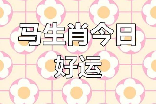 属马人今日运势指南
