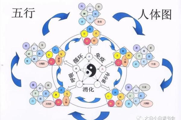 沁五行的五行特征解读