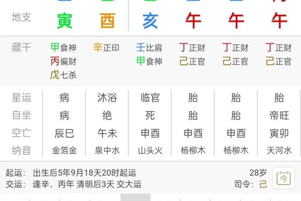 地支全伤官与命运走向的关系探讨