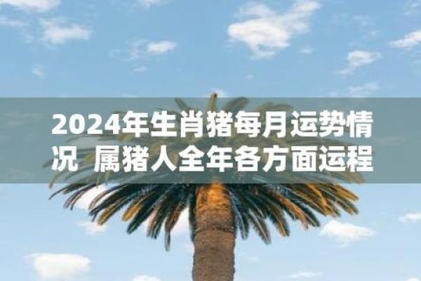 猪今天的运势解析