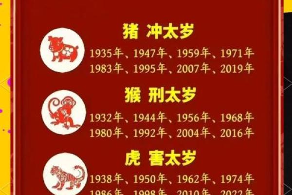 猪今天的运势解析