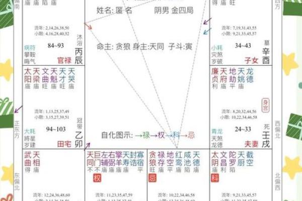 如何根据生辰八字调整生活与事业