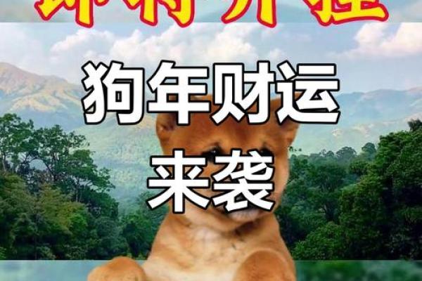 属狗人事业与财运展望