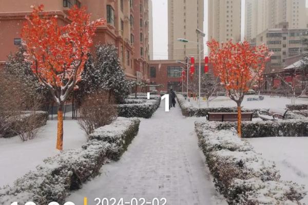 瑞雪兆丰年：春节民俗文化盛宴