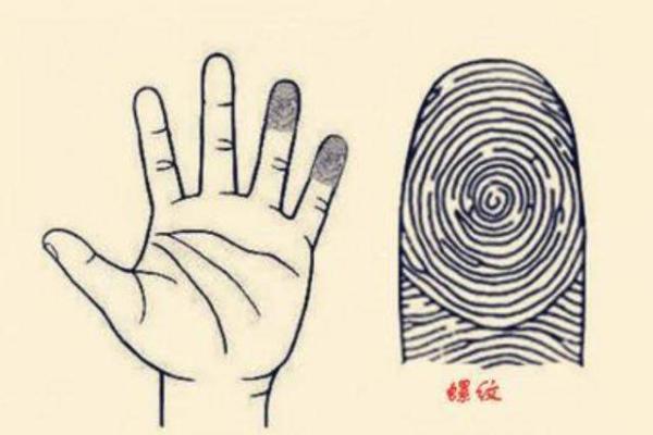 一指间的命运之谜：指纹命理解读人生轨迹