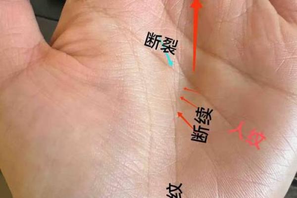神秘手相揭秘：索状纹理背后的惊人秘密