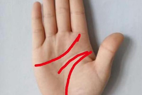 手相大师亲授：掌握命运的秘密法则！