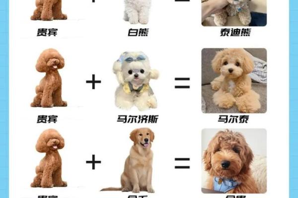 生动可爱的狗宝宝名字精选