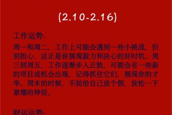 属狗办公室风水宝典：提升运势的五大布局法则