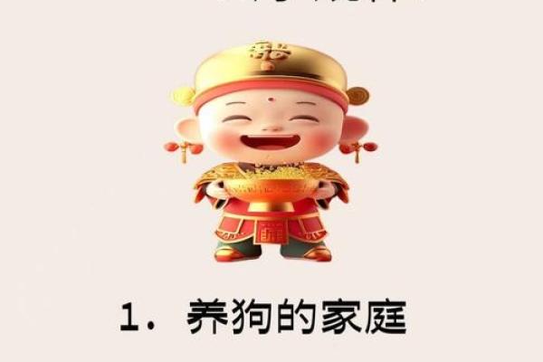 属狗办公室风水宝典：提升运势的五大布局法则
