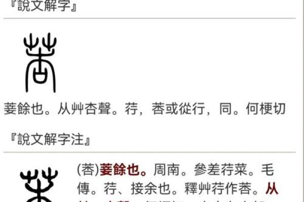 旋字五行属性解析