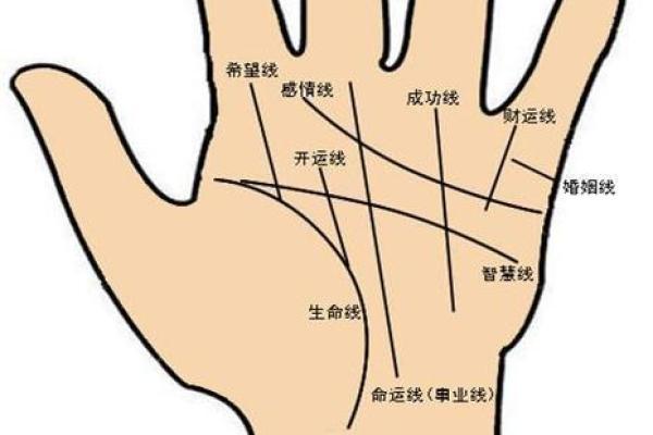 手相密码：一探手心，揭秘你的未来远近人生