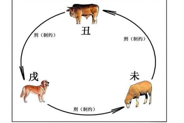 地支戌子：命理中的奇妙配对